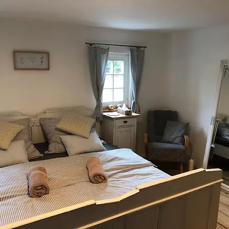 Hajenka * Sněžnik