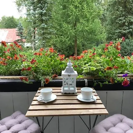 Tatil Evi Hajenka Sneznik