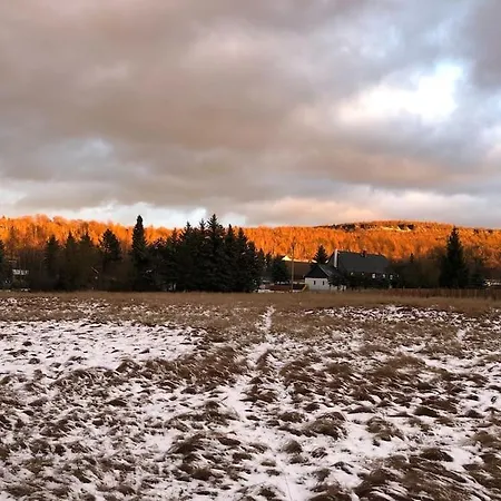 Hajenka Holiday home Sneznik