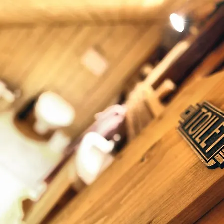 Hajenka Holiday home *